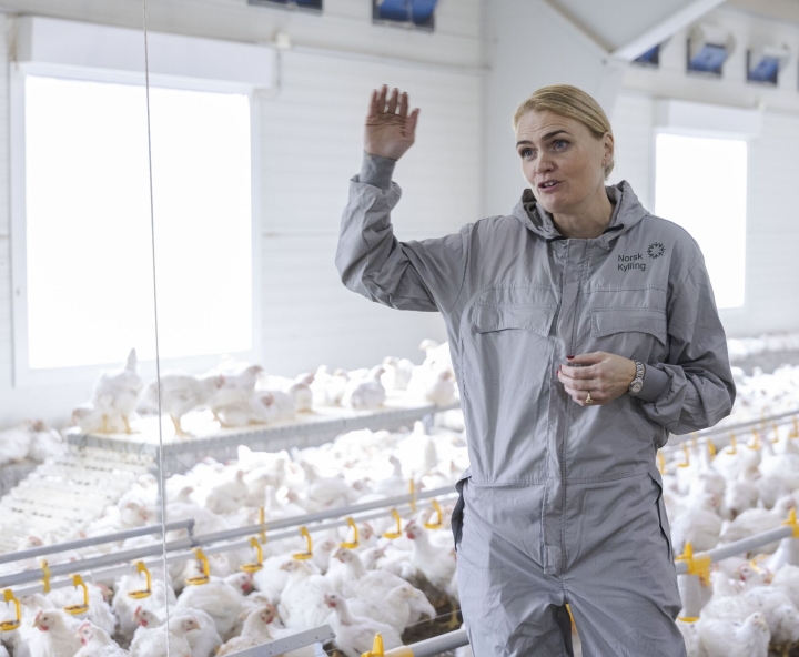 Administrerende direktør Hilde Talseth sier Norsk Kylling er spesielt attraktive for kunder i Europa. – Vi er den eneste storskalaprodusenten som produserer etter dyrevelferdsstandarden ECC.