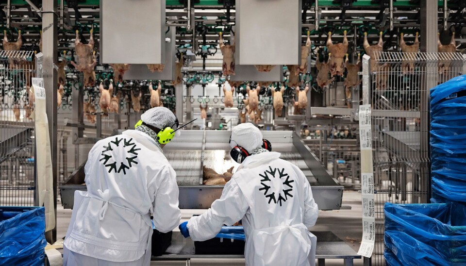 Totalt omsatte Norges største produsent av kylling som vokser saktere for over 2,1 milliarder norske kroner i fjor.
