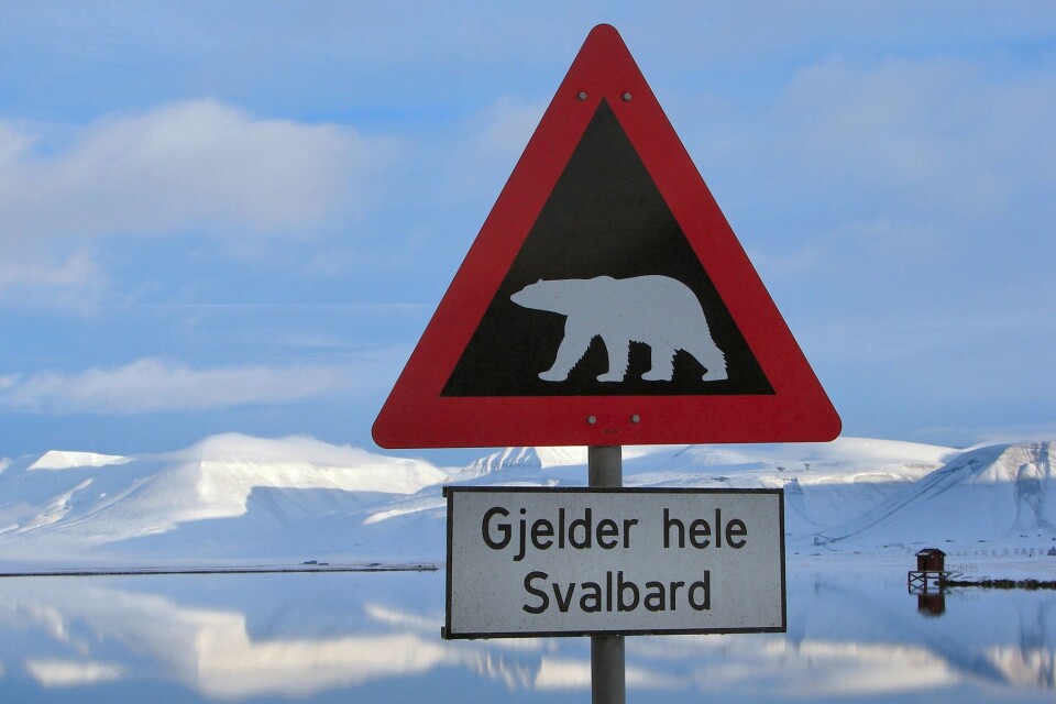 Jubel på Svalbard