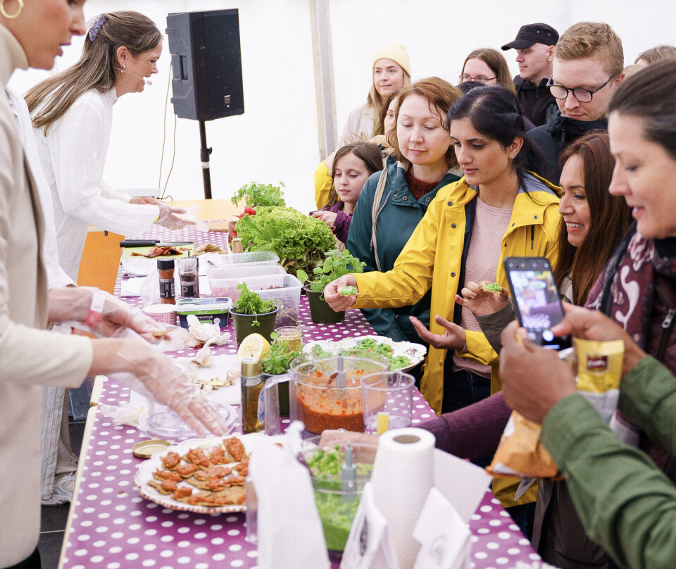 Under Oslo Vegetarfestival kan man delta på kokkekurs og foredrag.