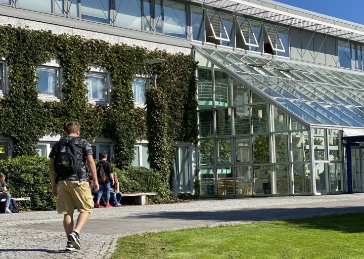 Elevene er redd NHS – Institutt for ledelse og tjenesteutvikling vil forsvinne med en sammenslåing.