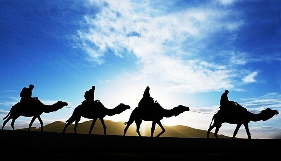 Thon inn i internasjonal hotellallianse