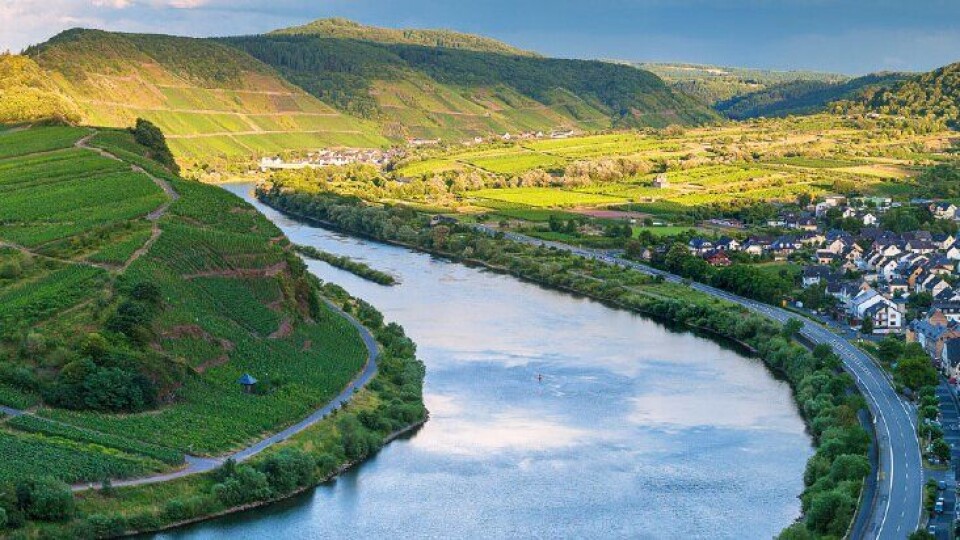Den store Riesling-testen