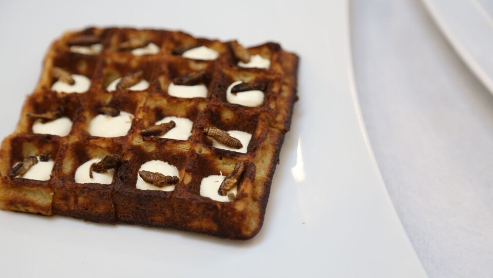 DESSERT: Hva med en herlig vaffel med en liten dæsj siriss? DESSERT: Hva med en herlig vaffel med en liten dæsj siriss?
