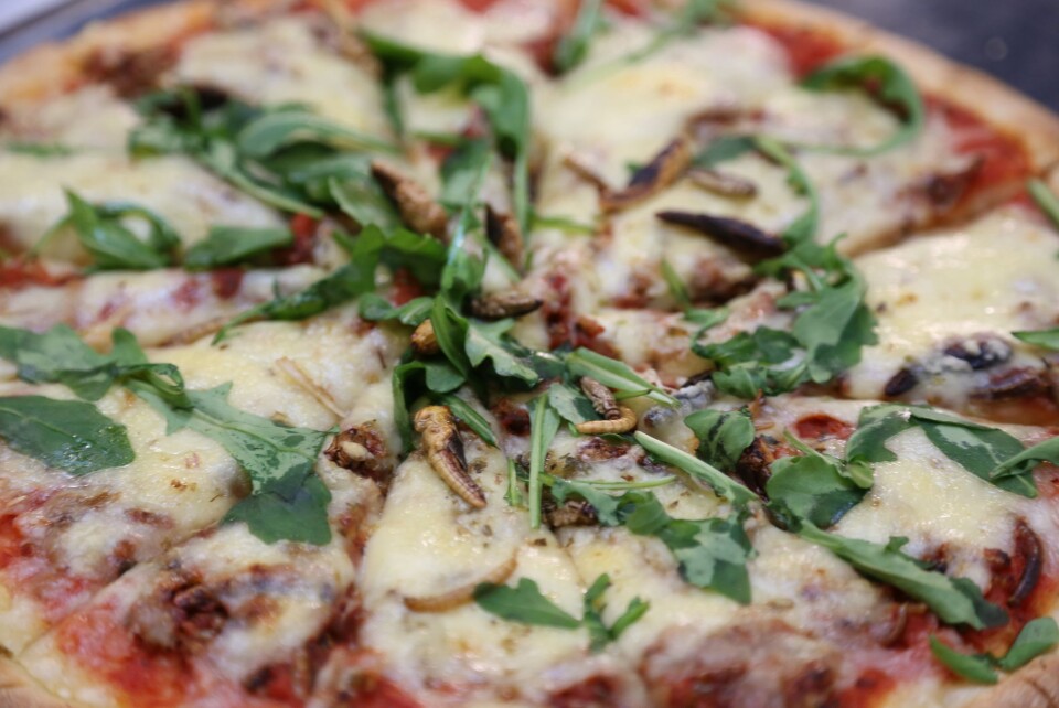 MORGENDAGENS PIZZA: Glem marinert biff og chorizo. Fremtidens pizzaingredienser er gresshopper og sirisser. Foto: Coxit. MORGENDAGENS PIZZA: Glem marinert biff og chorizo. Fremtidens pizzaingredienser er gresshopper og sirisser. Foto: Coxit.