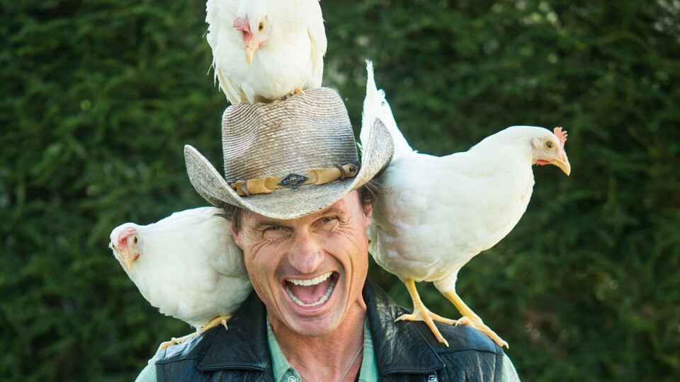 PETTER SINE HØNER: Under lagene med humor, ligger det et ønske om å utnytte matressursene bedre.