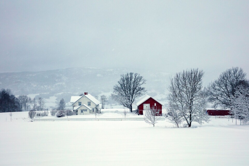 KIMERUD GÅRD: I låven til høyre foregår produksjonen.