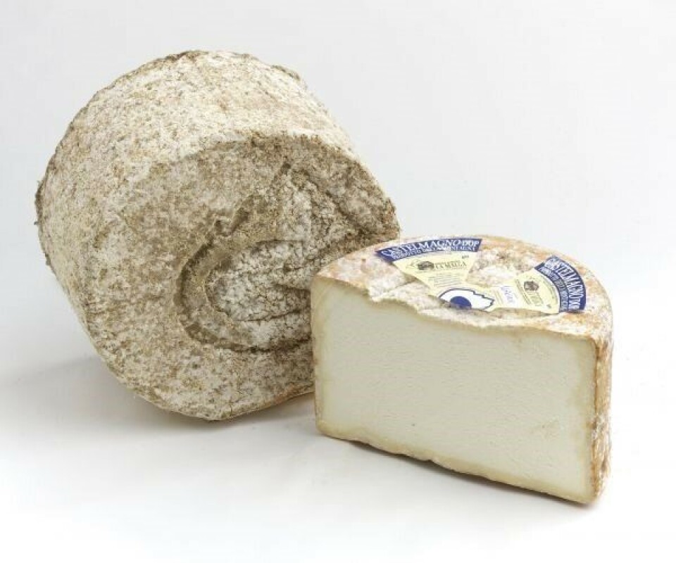 HOVEDROLLE: Osten Castelmagno DOP er en av årets viktigste ingredienser.