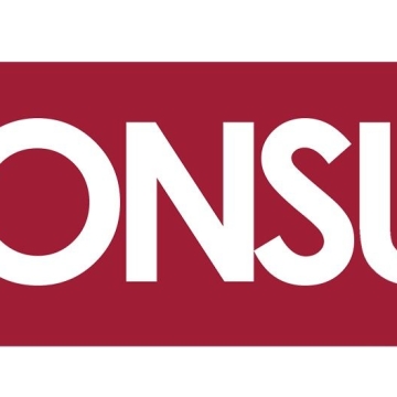 Vinconsult 