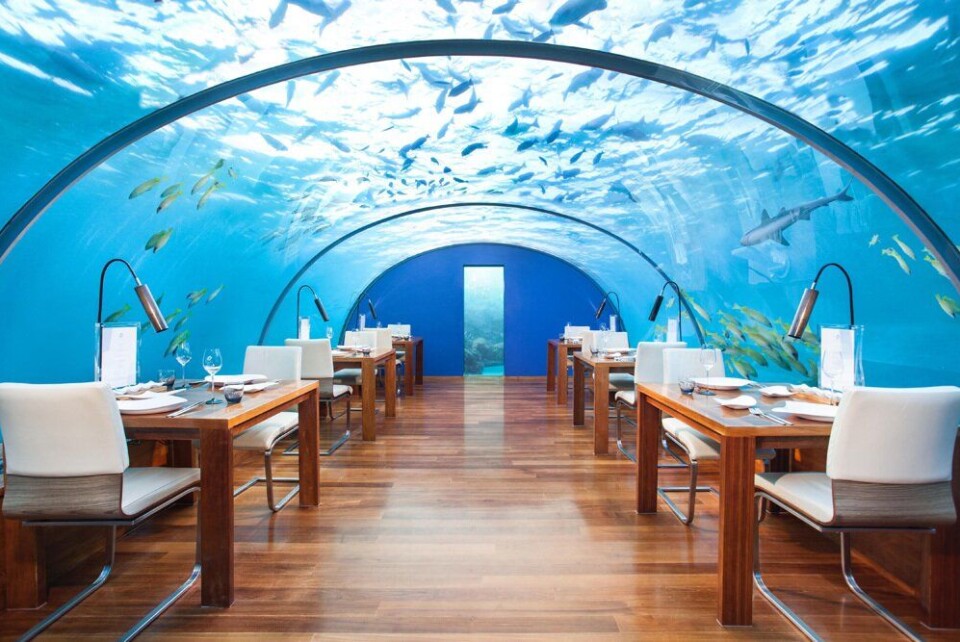 3. plass: Conrad Maldives Rangali Island, Maldivene – undervannsrestauranten.