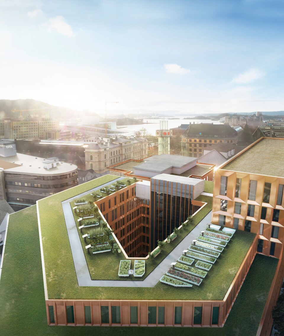 GRØNT TAK: Noe i nærheten av dette er det taket på The Hub blir seende ut.