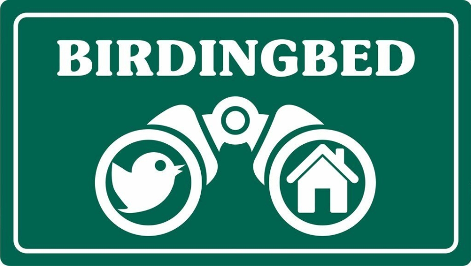 GUIDE: Birdingbed.no er en ny fuglekikkerguide, av og for fuglekikkere.