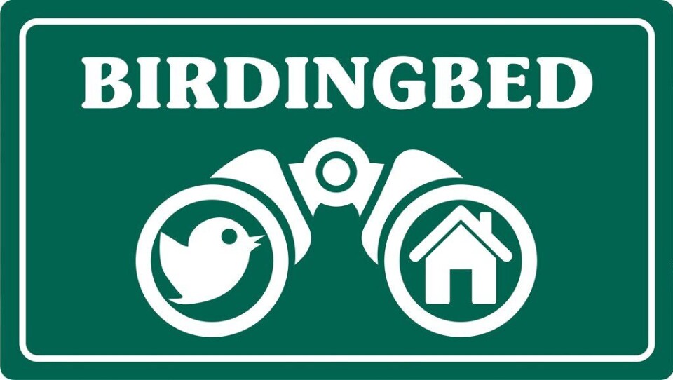GUIDE: Birdingbed.no er en ny fuglekikkerguide, av og for fuglekikkere. GUIDE: Birdingbed.no er en ny fuglekikkerguide, av og for fuglekikkere.