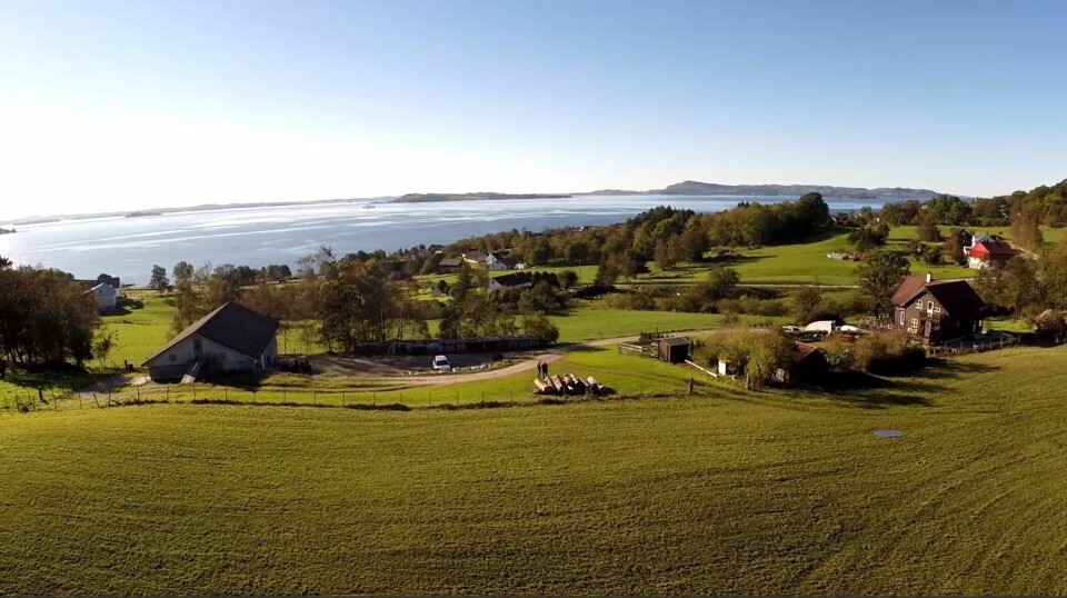 VAKTELEGG: Vaktelegg fra Ryfylke gård er en viktig ingrediens i konkurransen.