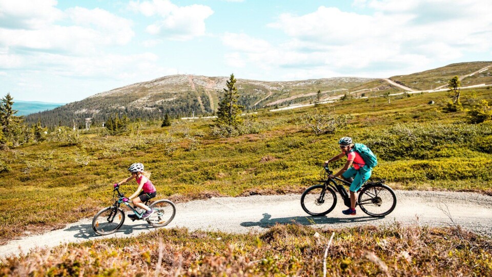 Forventer rekordhøst