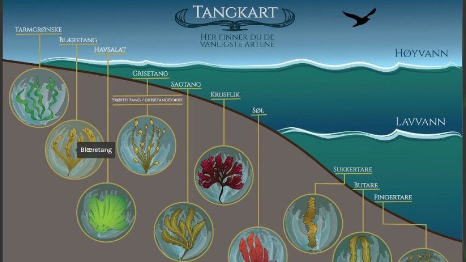 KART: Tangkartet er noe av innholdet du finner på Tangweb.