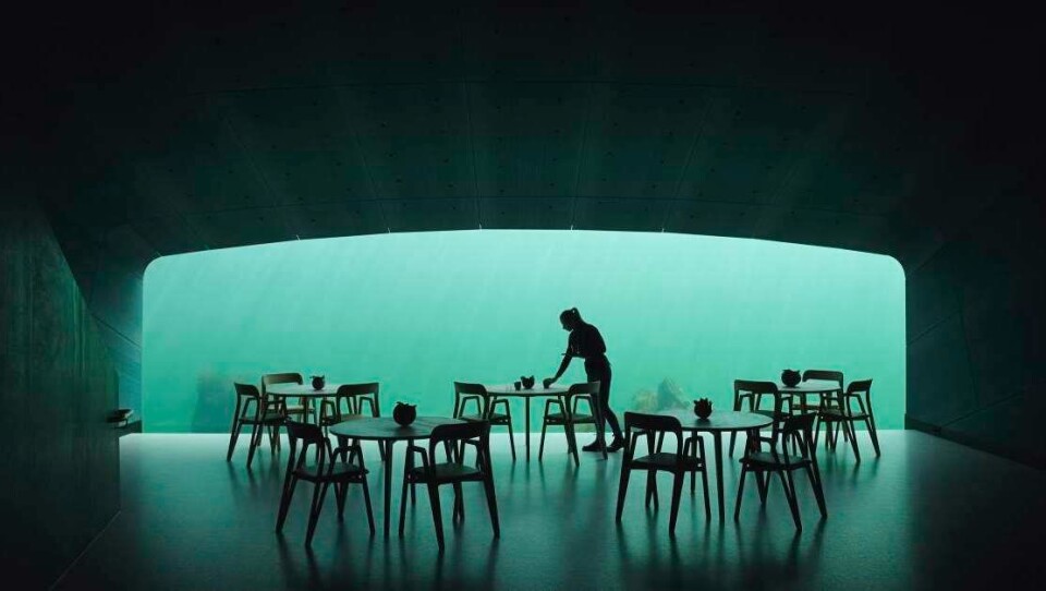 STJERNE?: Under nevnes som en het kandidat til Michelin-stjerne.