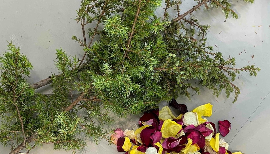 Disse ingrediensene har resultert i ølet Havbris. Ølet er produsert av Nøgne Ø på vegne av hotell-kjeden Classic Norway Hotels.