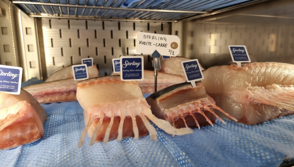 CARRÉ: Misund og Lerøy har funnet nye metoder for servering av fisk.