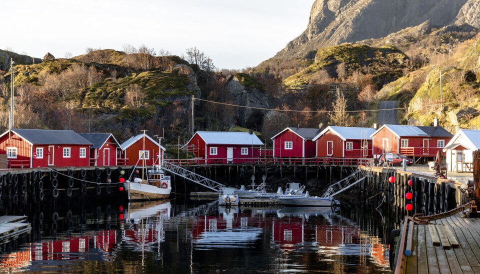 STORSASTING: Grunnleggeren av den tyske hotellgruppen 25hours Hotels, Christoph Hoffmann, er full av begeistring for den idylliske perlen i Lofoten. STORSASTING: Grunnleggeren av den tyske hotellgruppen 25hours Hotels, Christoph Hoffmann, er full av begeistring for den idylliske perlen i Lofoten.