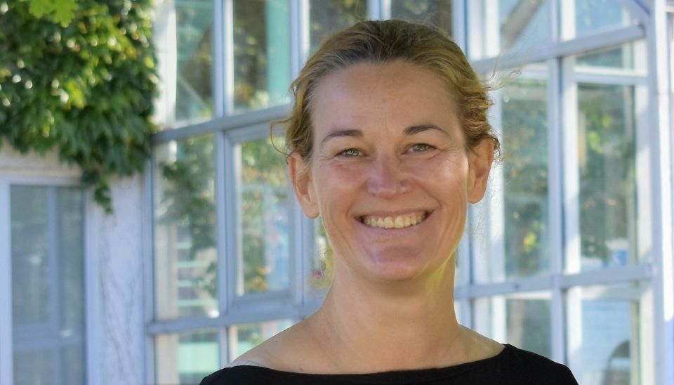 NEDGANG: Søknadstallene for reiselivsledelse og hotelledelse er tilbake på 2014-nicvå. – Vi har en jobb å gjøre, sier førsteamanuensis ved Norsk hotellhøgskole ved Universitetet i Stavanger, Heidi Victoria Skeiseid.