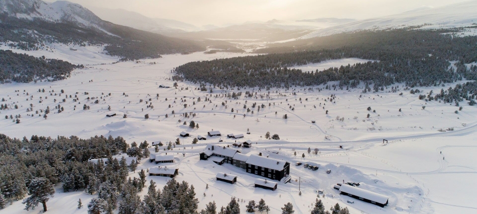 Dette er de nye medlemmene hos De Historiske
