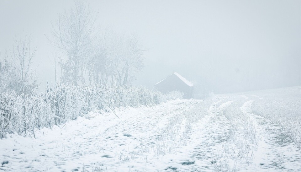 47 mennesker satt værfast på Haukelifjell (Illustrasjonsfoto) Snøværet skapte problemer for hotellgjester på Haukelifjell.