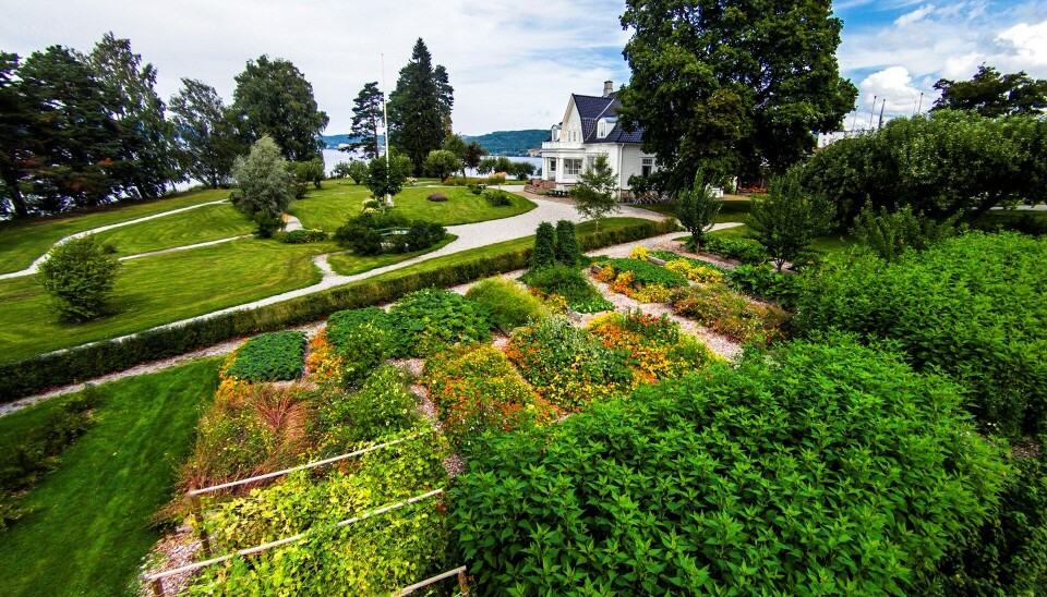 Direktørboligen i bakgrunnen, og den frodige hotellhagen i forgrunnen.
