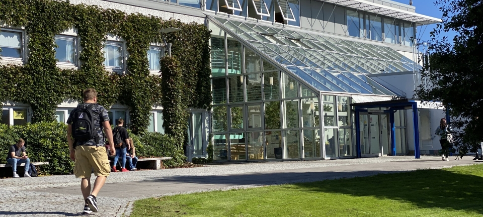 Norsk hotellhøgskole er historie