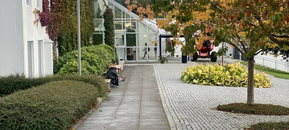 KRONIKK: Reiselivet skal vokse – med Universitetet i Stavanger på laget