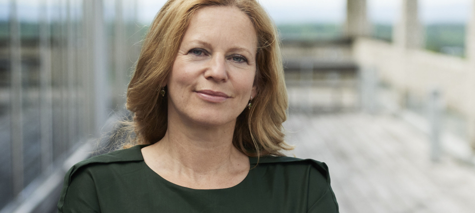 Rekordmange nyetableringer - spår at veksten vil fortsette