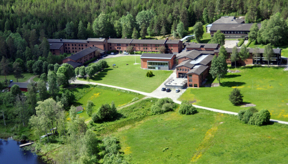 Sørmarka Konferanse hotell søker Bartender(Servitør)