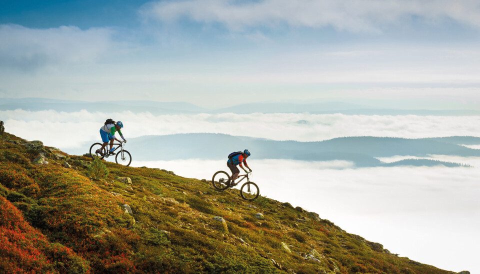 OPPLEVELSER HELE ÅRET: Opplevelsesturisme øker, og mange destinasjoner øker tilbudene. Sykkel på Trysil har blitt svært populært i sommerhalvåret.